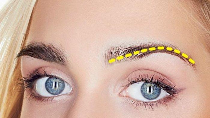 Tes Kepribadian - Bentuk Alis1