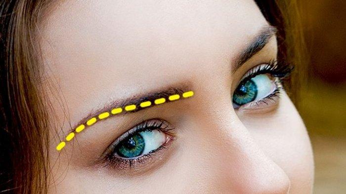 Tes Kepribadian - Bentuk Alis2