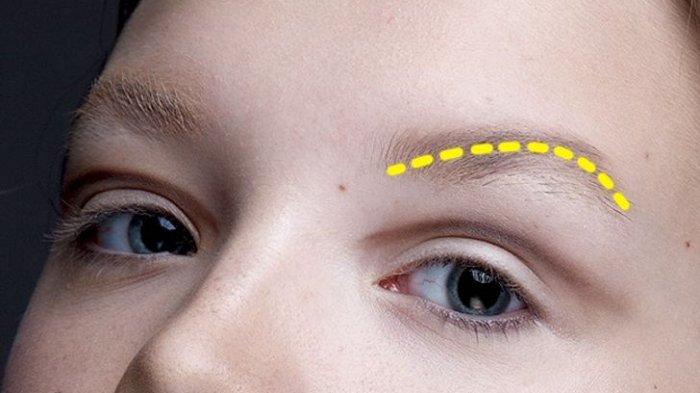 Tes Kepribadian - Bentuk Alis3