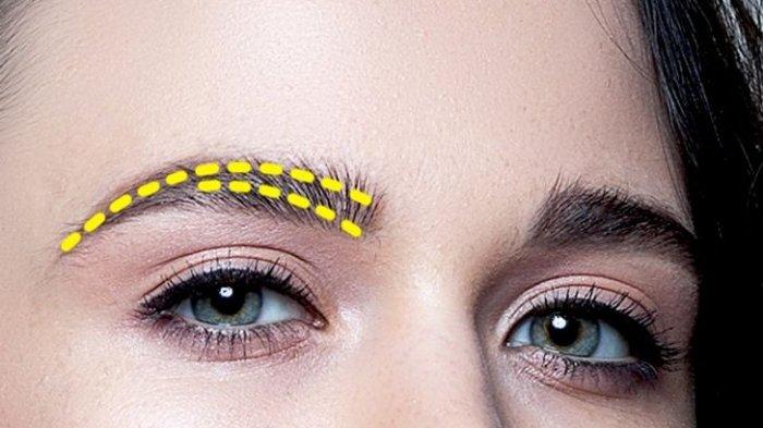 Tes Kepribadian - Bentuk Alis4