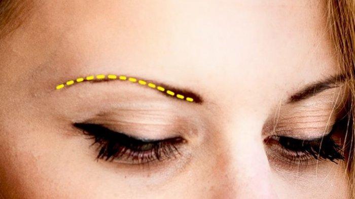 Tes Kepribadian - Bentuk Alis5