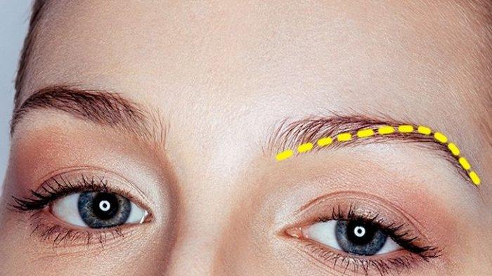 Tes Kepribadian - Bentuk Alis6