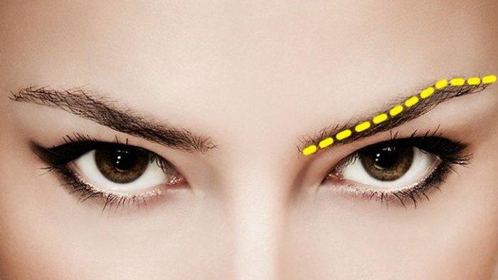 Tes Kepribadian - Bentuk Alis8