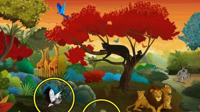 Tes Kepribadian bruung hitam