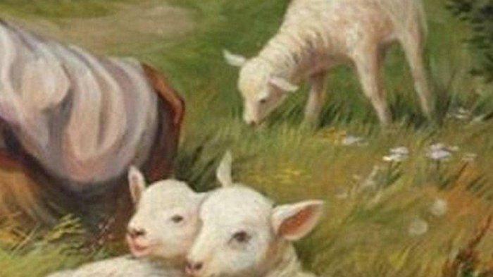 Tes Kepribadian - Apa yang Anda lihat pertama kali? jawabannya ungkap keinginan Anda dalam menjalin hubungan.