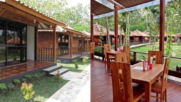 The Giant Frog Cabins & Restaurant