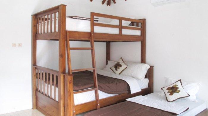 The Giant Frog Family Room