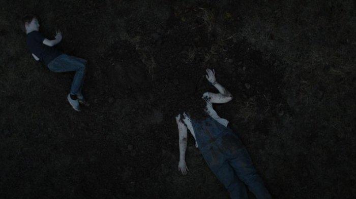 The Hole in the Ground (2019) 3