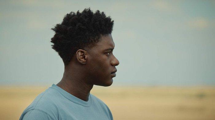 The Last Tree (2019) 3