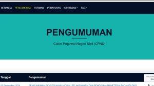 35-Link-Bayangan-Pengumuman-Hasil-Seleksi-Administrasi-CPNS-2024-Antisipasi-Server-SSCASN-Down.jpg