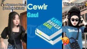 Apa-Itu-Cewir-Bahasa-Gaul-yang-Viral-di-TikTok-Ada-Hubungan-dengan-Keasyikan-di-Diri-Orang.jpg