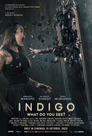 Film-Indigo-What-Do-You-See-2023.jpg