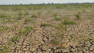 Kekeringan-di-Sejumlah-Wilayah-di-Indonesia.jpg