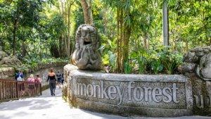 Monkey-Foret-Ubud-Bali-Terbaru-2024.jpg