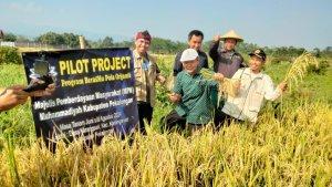 Muhammadiyah-Pekalongan-Panen-Padi-Organik-Langkah-Menuju-Kedaulatan-Pangan-Lewat-BerasMu.jpg