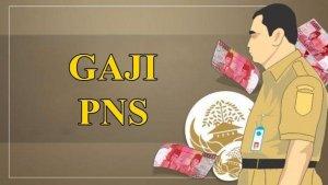 Segini-Gaji-ASN-Lulusan-SMASMK-Jika-Lolos-di-Seleksi-CPNS-dan-PPPK-2024-PNS.jpg