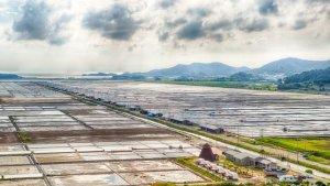 Taepyeong-Salt-Farm.jpg