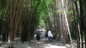 Taman-Harmoni-Surabaya.jpg