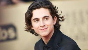 b-Timothee-Chalamet-a.jpg