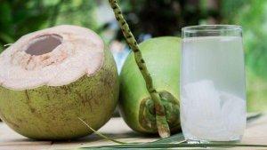 ilustrasi-air-kelapa-muda.jpg