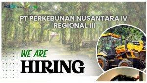 lowongan-kerja-PT-Perkebunan-Nusantara-IV-Regional-III.jpg