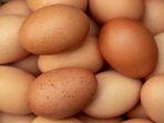 3-cara-mudah-mengetahui-apakah-telur-masih-bisa-dikonsumsi-atau-tidak.jpg