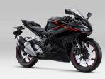 AHM-Luncurkan-Supersport-New-CBR250RR-Berkarakter-Big-Bike.jpg