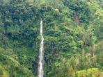 Air-Terjun-Pringgodani.jpg