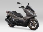Big-Skutik-Premium-New-Honda-PCX160.jpg
