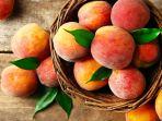 Buah-Persik-atau-Peach.jpg