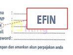Cara Mendapatkan Kode EFIN Pajak untuk Lapor SPT Tahunan Lewat DJP Online