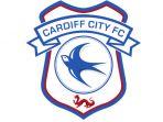 Cardiff-City-FC-12.jpg