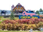 Cepogo-Cheese-Park.jpg