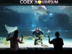 Coex-Aquarium.jpg
