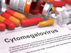 Cytomegalovirus.jpg