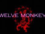 Film-Twelve-Monkeys.jpg