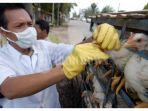 Flu-Burung-2.jpg