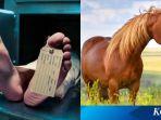 GEGER-Insinyur-Boeing-Mati-Usai-Berhubungan-Seks-dengan-Kuda-Alami-Luka-Hingga-Usus-Besar-Berlubang.jpg