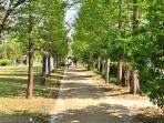 Gyeongui-Line-Forest-Park.jpg
