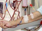 Hemodialisis-Cuci-Darah.jpg