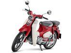 Honda-Super-Cub-C125-2.jpg