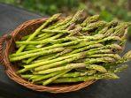 Ilustrasi-Asparagus.jpg