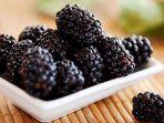 Ilustrasi-buah-blackberry.jpg