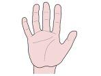 Ilustrasi-jari-tangan.jpg