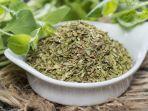 Ilustrasi-oregano-kering.jpg