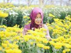 Ilustrasi-pengunjung-berfoto-di-Taman-Bunga-Setiya-Aji-Flower-Farm.jpg