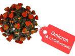 Ilustrasi-varian-Omicron-B11529.jpg