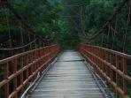 Jembatan-merah-yang-ada-di-Hutan-Wisata-Tinjomoyo-di-Semarang.jpg