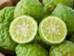 Jeruk-Limau2.jpg