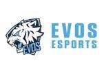 Logo-PT-Evos-Sport.jpg